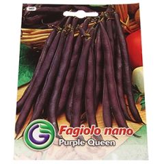 Sēklas pupiņas kāršu 'Purple Queen' 20g
