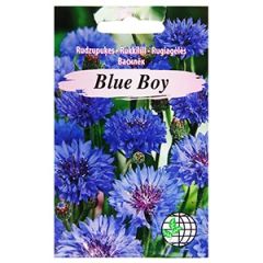 Sēklas Rudzupuķes Blue boy zilas 1g
