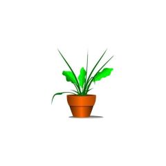 Telpaugs Bouvardia p13
