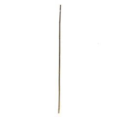 Bambusa mietiņš 150cm d12-14mm