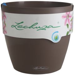 Puķu pods Lechuza Classico Color 28 brūns