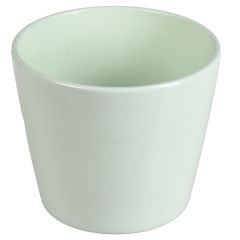 Puķu pods piparmētras 13cm