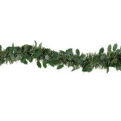 Egl.rotāj.virtene Winteria zaļš, sarkanas ogas 2.7m