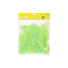 Fl.dekors Spalvas Verso zaļas 42gab.