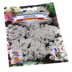 Sēklas Alises baltas 0.5g