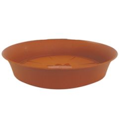 Paliktnis puķu podam Tulipan 10cm g.brūns