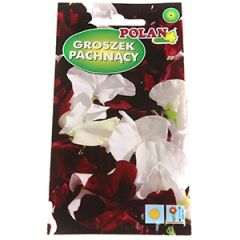 Sēklas Puķu zirņi Night and day 2g