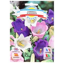 Sēklas Pulkstenīte mix 0.8g