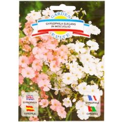 Puķu sēklas plīvurpuķes mix