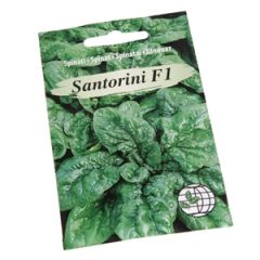 Sēklas Spināti Apollo, Ballet F1 3g