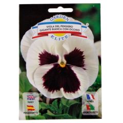 Puķu sēklas atraitnītes ar viol.actiņu