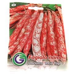Sēklas pupiņas kāršu Borlotto Red Top