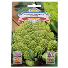 Sēklas Ziedkāposts Beta 1g