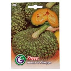 Sēklas ķirbji Marina di Chioggia