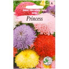 Sēklas Asteres Piuma di Struzzo 1g GS.