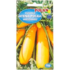 Sēklas Kabacis Orella 5sēklas