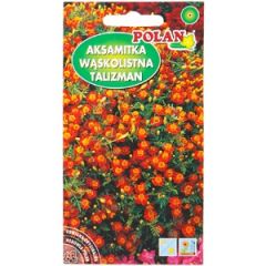 Sēklas Samtenes šaurlapu sarkanas 0.5g