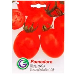 Sēklas Tomāti Rio Grande 2g GS