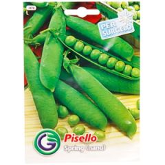 Sēklas Zirņi Spring 25g GS