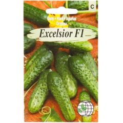 Sēklas Gurķi Excelsior