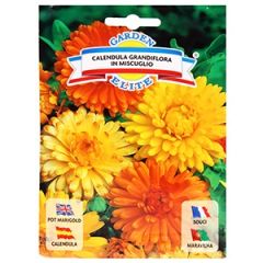 Sēklas Kliņģerītes mix 2g