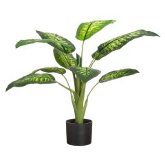 Mākslīgie augi 4Living Dīfenbahijas 90cm