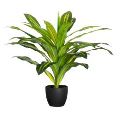 Mākslīgie augi 4Living Dracēna 60cm