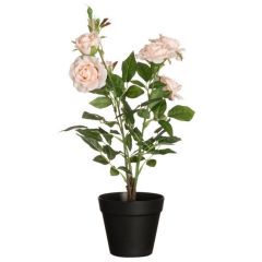 Mākslīgie augi 4Living Rozes lielās bēšas 49cm