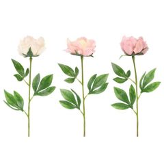 Mākslīgie ziedi 4Living Peonija 60cm 3-krāsas