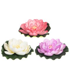 Dārza dekors ūdensrozes mix 21cm