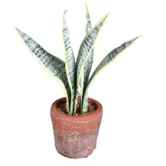 Mākslīgie ziedi 4Living Līdakaste 23.5cm