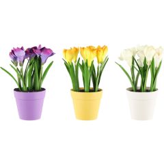 Mākslīgie ziedi 4Living Krokusi 23cm lillā, dzeltens, balts