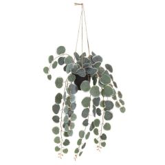 Mākslīgie ziedi 4Living karināms augs 40cm