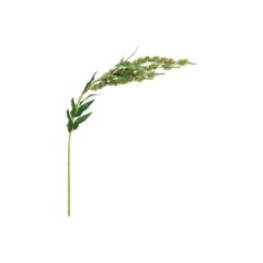 Mākslīgie ziedi 4Living Amaranta 68cm