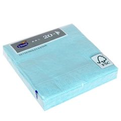 Salvetes 24cm Mint Blue