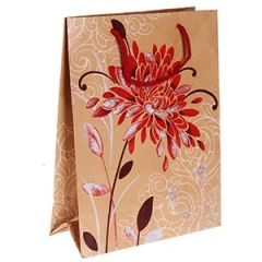 Dāvanu maisiņš Natur 23.3x31.3x8.3 cm