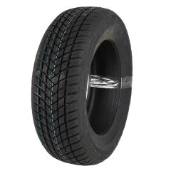 Riepa 195/65 R15 GT Radial Champiro Winterpro 2, 91H