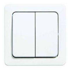 Dubulttaustiņš ST/WW