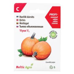 Sēklas Ķirbis Flynn F1 5-sēklas 3-3.8kg