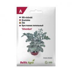 Sēklas Sudrablapu krustaine Silverdust