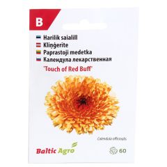 Sēklas Klinģerītes Touch of Red Buff 60gab.