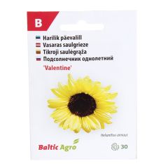 Sēklas Saulespuķes Valentine 30gab.