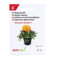 Sēklas Samtenes Discovery Orange 30gab.