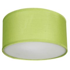 Gr.l.-DREAM 40W E14 zaļa