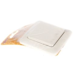 Slēdzis SL250 bēšs