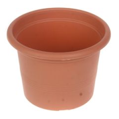 Puķu pods Campanula 11cm g.brūns