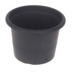 Puķu pods Campanula 11cm antracīts