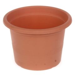 Puķu pods Campanula 15cm g.brūns