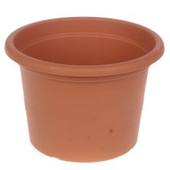 Puķu pods Campanula 17cm g.brūns