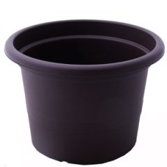 Puķu pods Campanula 20cm brūns